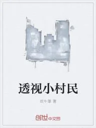 《透视小村民》小说封面