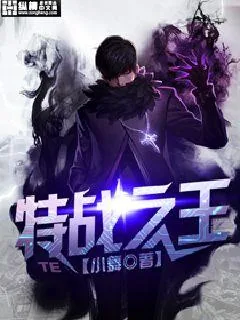 《特战之王》小说封面