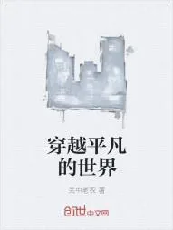 《穿越平凡的世界》小说封面
