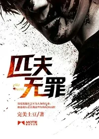 《匹夫无罪》小说封面