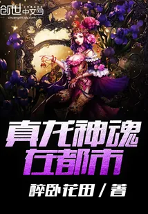 《真龙神魂在都市》小说封面