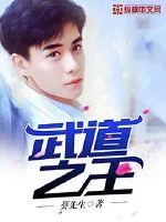 《武道之王》小说封面