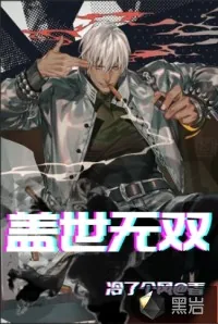《盖世无双》小说封面