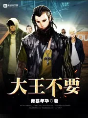 《大王不要》小说封面