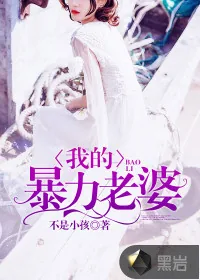 《我的暴力老婆》小说封面