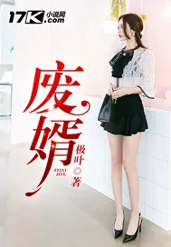 《废婿》小说封面