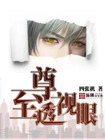 《至尊透视眼》小说封面