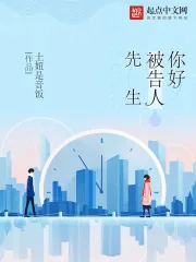 《你好被告人先生》小说封面