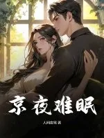 《京夜难眠》小说封面