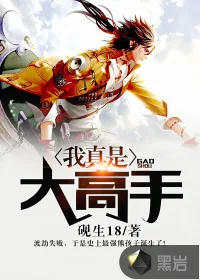 《我真是大高手》小说封面