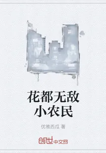 《花都无敌小农民》小说封面