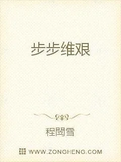 《步步维艰》小说封面