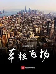 《草根飞扬》小说封面