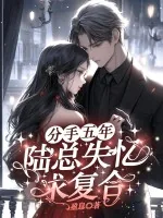 《分手五年，陆总失忆求复合》小说封面