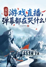 《说好游戏直播，弹幕都在哭什么！》小说封面