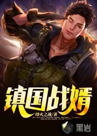 《镇国战婿》小说封面