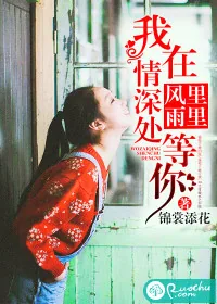 《风里雨里，我在情深处等你》小说封面