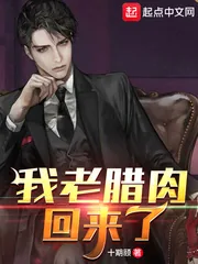 《我老腊肉回来了!》小说封面