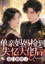 《单亲妈妈捡到失忆大佬后，豪门圈炸了》小说封面