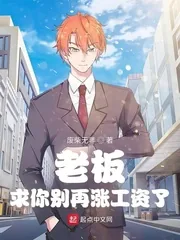 《老板,求你别再涨工资了》小说封面