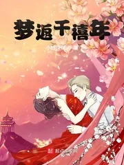 《梦返千禧年》小说封面