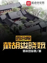 《四合院：截胡娄晓娥》小说封面