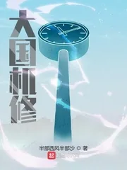 《大国机修》小说封面