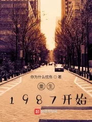《重生1987开始》小说封面