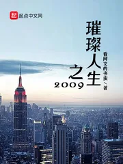 《璀璨人生之2009》小说封面