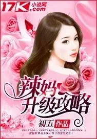 《辣妈升级攻略》小说封面