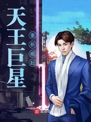 《天王巨星重新崛起》小说封面