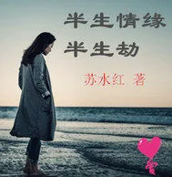 《半生情缘半生劫》小说封面