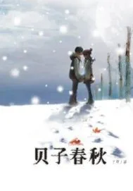 《贝子春秋》小说封面