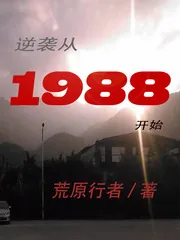 《逆袭从1988开始》小说封面