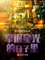 《掌握星光的日子里》小说封面