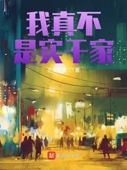 《我真不是实干家》小说封面