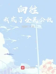 《向往：我成了全民公敌》小说封面
