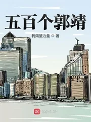 《五百个郭靖》小说封面