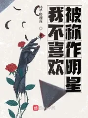 《我不喜欢被称作明星》小说封面