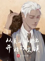 《从夏洛特烦恼开始的文娱》小说封面