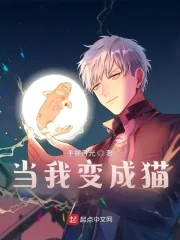 《当我变成猫》小说封面
