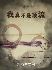 《娱乐，我真不是顶流！》小说封面