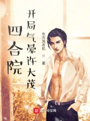 《四合院：开局气晕许大茂》小说封面