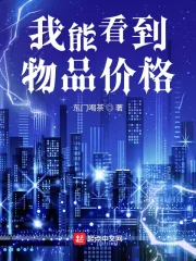 《我能看到物品价格》小说封面