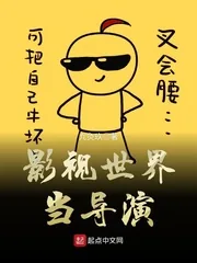《影视世界当导演》小说封面