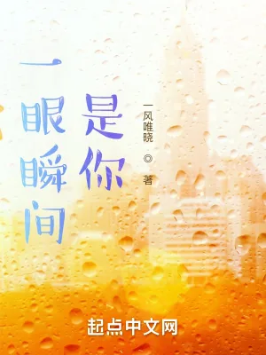 《一眼瞬间，是你》小说封面