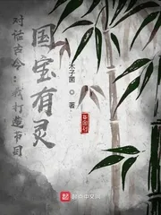 《对话古今：我打造节目，国宝有灵》小说封面