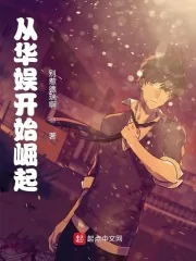 《从华娱开始崛起》小说封面