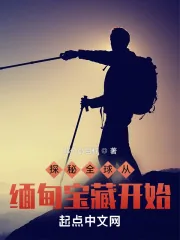 《探秘全球从缅甸宝藏开始》小说封面