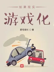 《如果现实游戏化》小说封面
